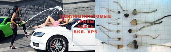 дмт Алзамай